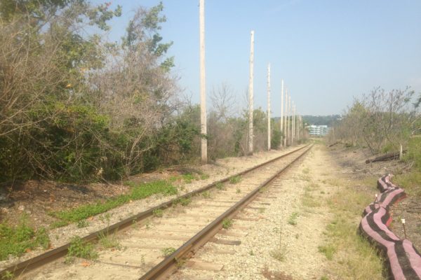 Railroad tracks run along the river's edge of the Almono site.