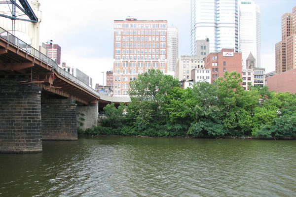 Photo of eastern end of the Mon Wharf Landing with overgrown foliage