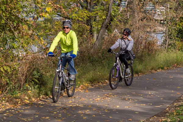 Two cyclists on bikes riding a leafy trail