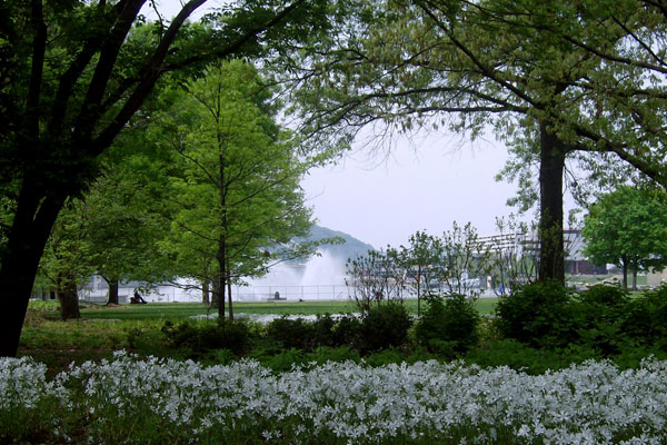 View of the trees and native flowers in Point State Park