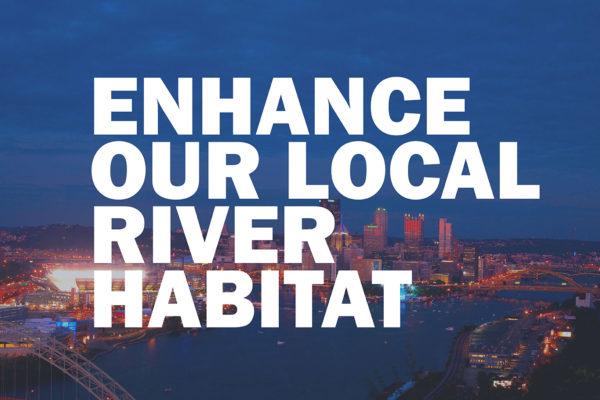Enhance our local river habitat