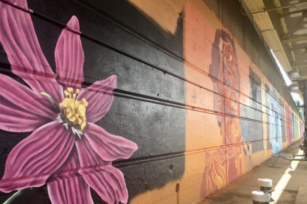 View of the Black Flowers mural under the Ford Duquesne Bridge