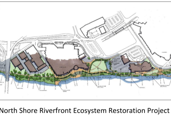Line drawn rendering of the North Shore Ecosystem Restoration project with the project area in color and surrounding areas in black and white